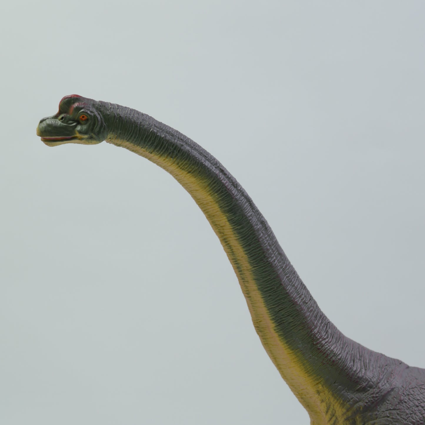 Realistic Long-Neck Dinosaur Figure for Kids