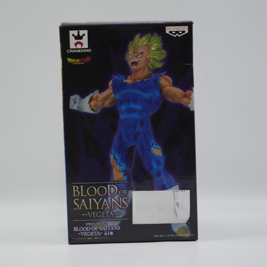 Dragon Ball Vegeta Action Figure